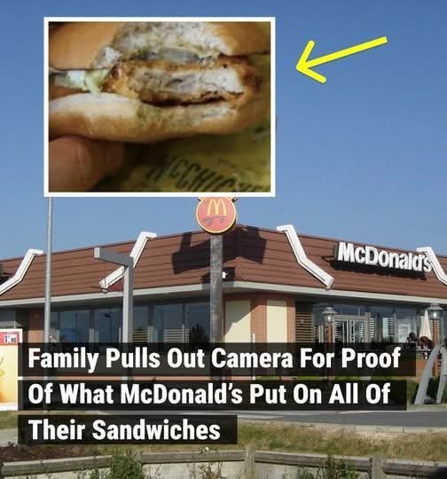 Family Pulls Out Camera For Proof Of What McDonald’s Put On All Of Their Sandwiches –